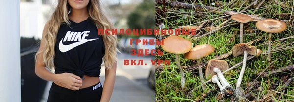 скорость Алексеевка