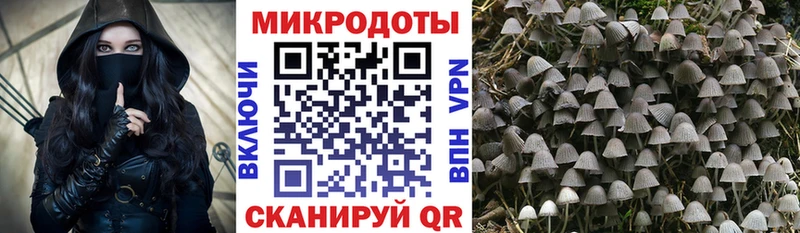 продажа наркотиков  гидра ТОР  Псилоцибиновые грибы Magic Shrooms  Нижний Тагил 