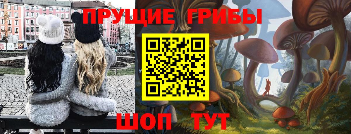 Псилоцибиновые грибы GOLDEN TEACHER Нижний Тагил