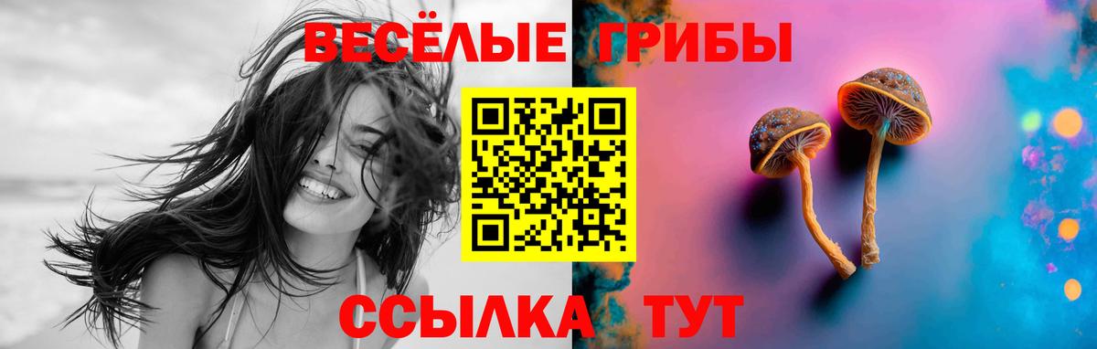 Нижний Тагил  Галлюциногенные грибы Cubensis  Вход с VPN 